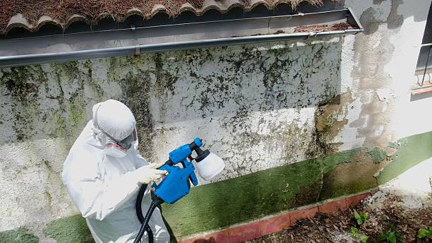 Trusted Mold Inspection service in Summit, WA - Cheap Mold Removal